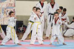 ΕΠΙΔΕΙΞΕΙΣ TAE KWON DO ΑΡΧΑΡΙΩΝ -&quot;BABY FIGHTING&quot;- ΓΙΟΡΤΗ ΤΟΥ ΣΥΛΛΟΓΟΥ