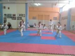 ΠΡΟΑΓΩΓΙΚΕΣ ΕΞΕΤΑΣΕΙΣ COUP TAE KWON DO ΓΙΑ ΤΑ ΑΡΧΑΡΙΑ ΤΜΗΜΑΤΑ-ΙΟΥΝΙΟΣ 2014