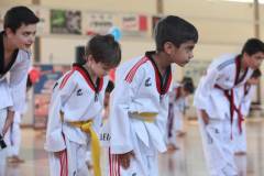 ΕΙΔΙΚΟ ΤΜΗΜΑ TAE KWON DO ΓΙΑ ΠΑΙΔΙΑ 3 ½ - 5 ΕΤΩΝ